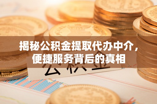 大寮揭秘公积金提取代办中介，便捷服务背后的真相