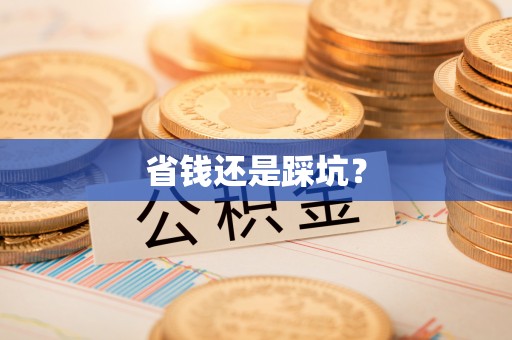 大寮省钱还是踩坑？