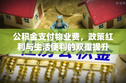大寮公积金支付物业费，政策红利与生活便利的双重提升