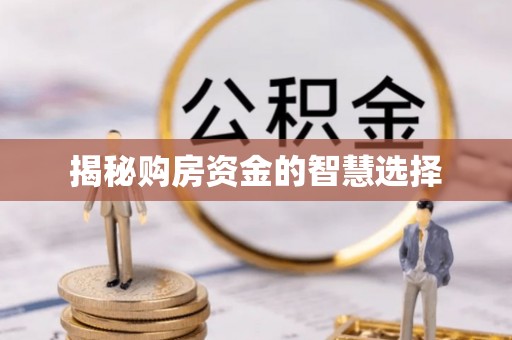 大寮揭秘购房资金的智慧选择