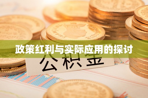 大寮政策红利与实际应用的探讨
