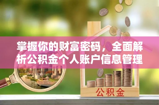 大寮掌握你的财富密码，全面解析公积金个人账户信息管理