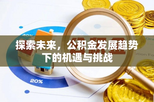 大寮探索未来，公积金发展趋势下的机遇与挑战