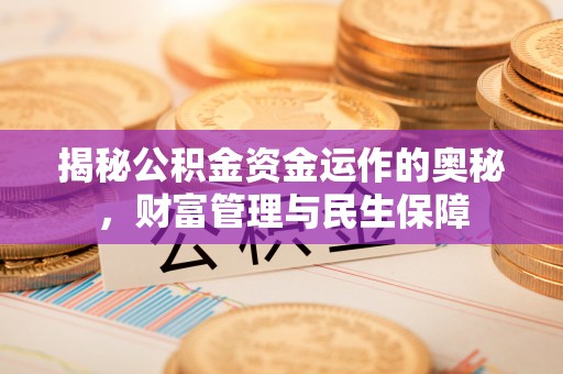 大寮揭秘公积金资金运作的奥秘，财富管理与民生保障