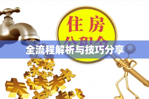 大寮全流程解析与技巧分享